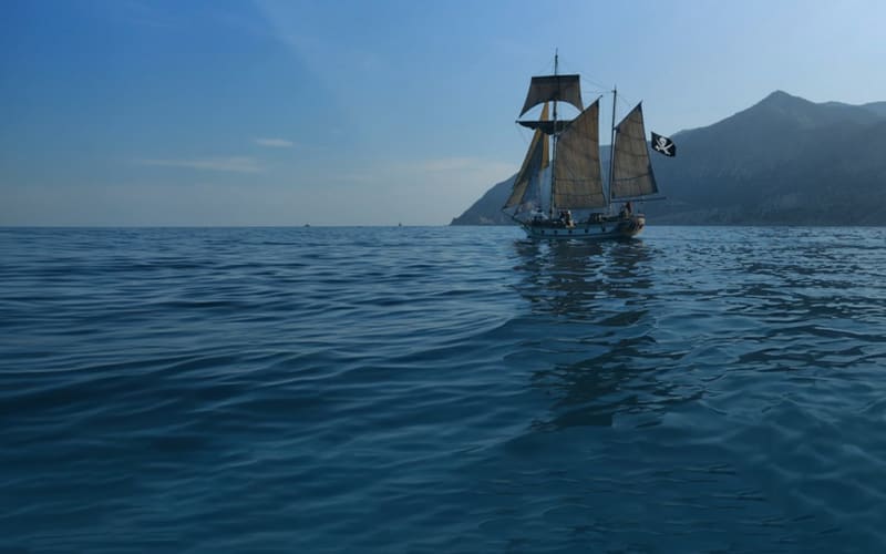 Lively Schooner, from its own website