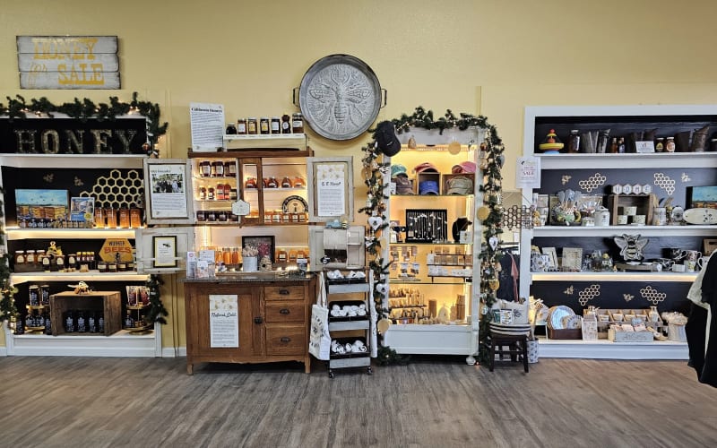 Honeybee Discovery Center, from its own website