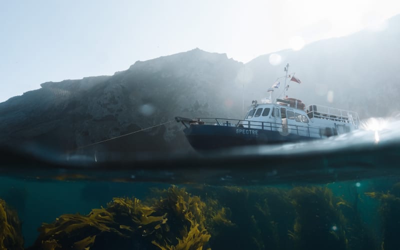 Spectre Dive Boat, from its own website
