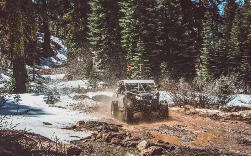 Yosemite Outdoor Adventures, from its own website