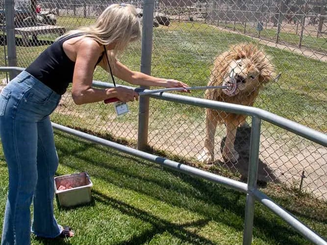 Lions Tigers & Bears The San Diego Animal Sanctuary®, from its own website