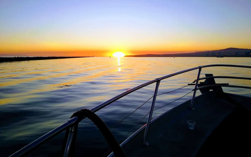 Spirit Cruises, from its own website