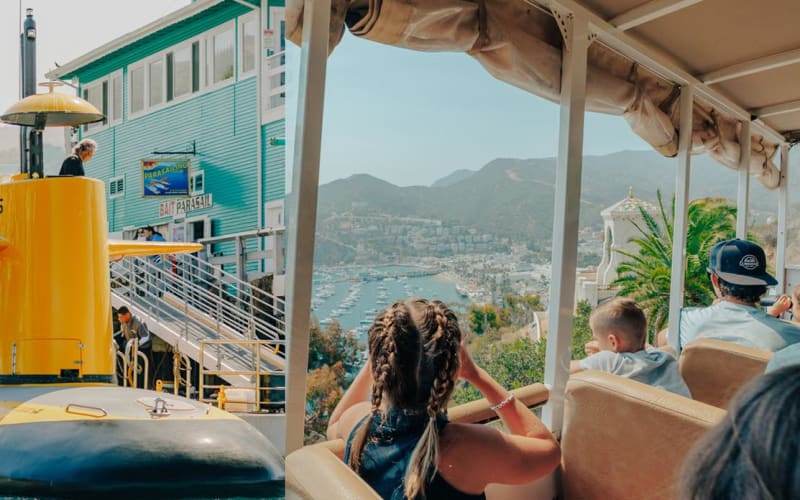 Submarine & Land Tours -Catalina Adventure Tours, from its own website