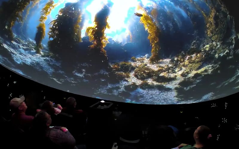 Immersed, from its own website