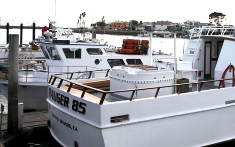 Channel Islands Whale Watching, from its own website