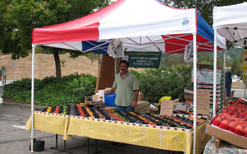 Amber Oaks Berry Farm, from its own website