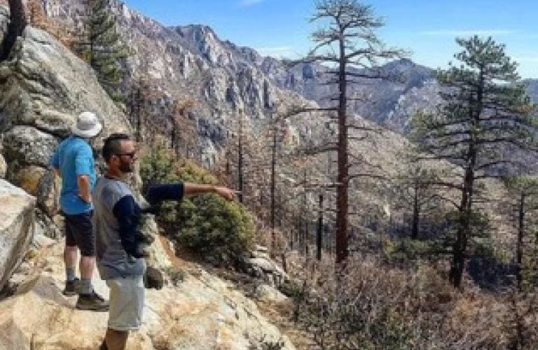 Idyllwild Nature Center, from its own website