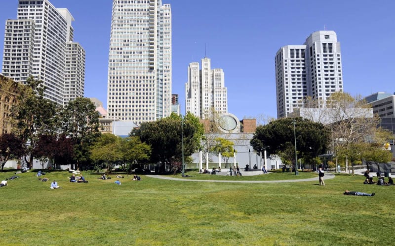 Yerba Buena Ice Arena, from its own website