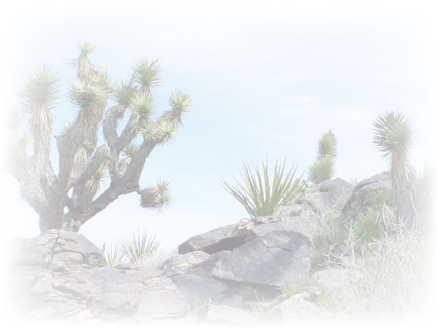 Desert Discovery Center, from its own website