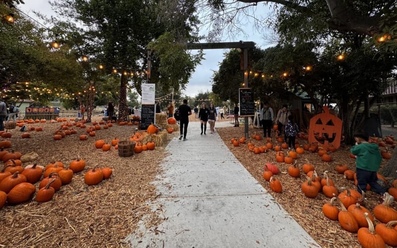 Grimm’s Hollow: A Haunted Family Friendly Experience, from its own website
