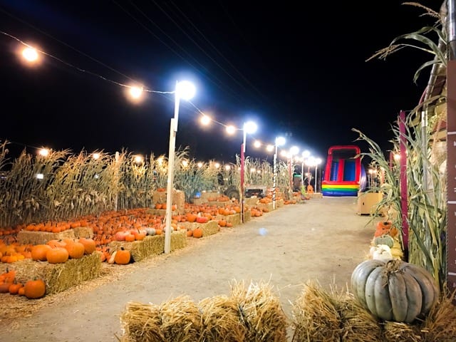 Hannegan's Harvest Pumpkin Patch & Farm Fresh Christmas Trees, from its own website