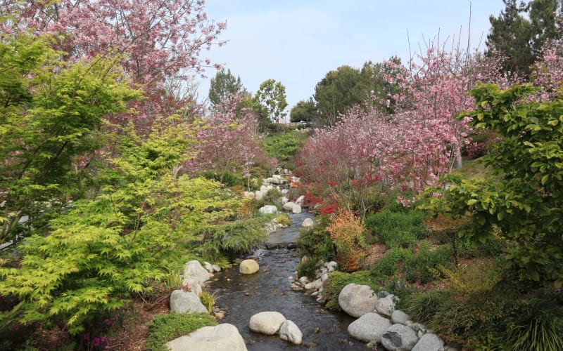 Japanese Friendship Garden & Museum, from its own website