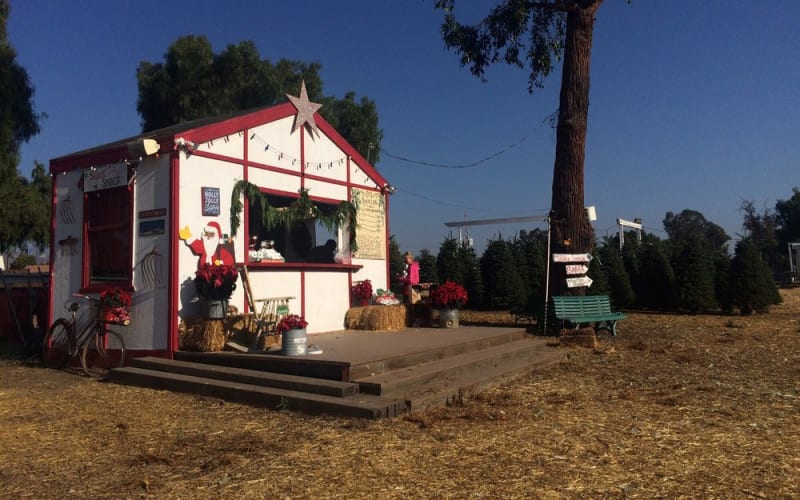 Hagle Tree Farm, from its own website