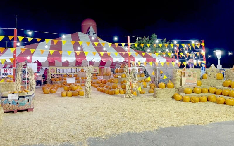 South Bay Pumpkin Patch, from its own website