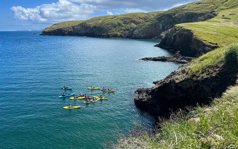 Channel Islands Adventure Company, from its own website
