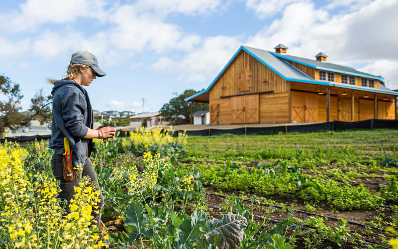Coastal Roots Farm, from its own website