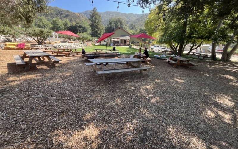 Casa Solano Orchards, from its own website