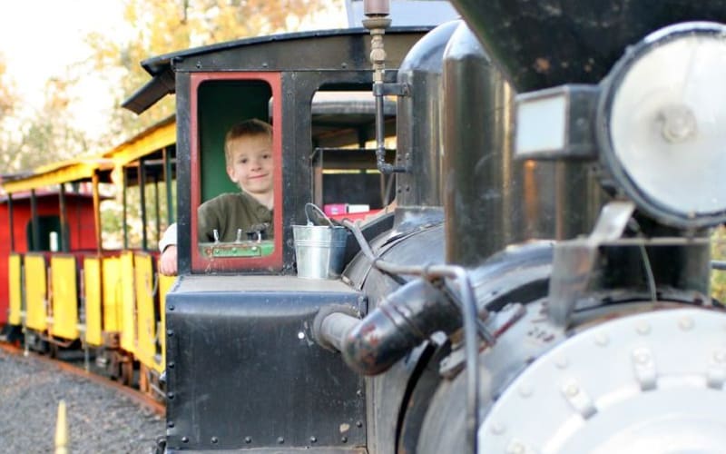 Max's Miracle Ranch, from its own website