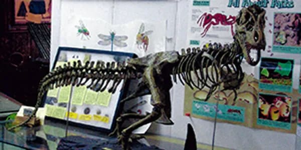 Southern Inyo Museum, from its own website