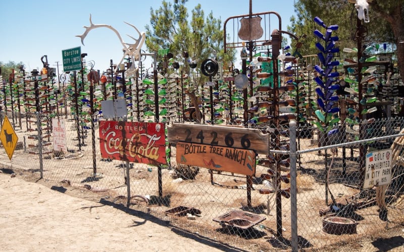 The Bottle Tree Ranch, from its own website