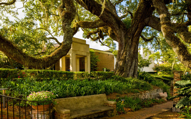 Cummer Museum of Art & Gardens, from its own website