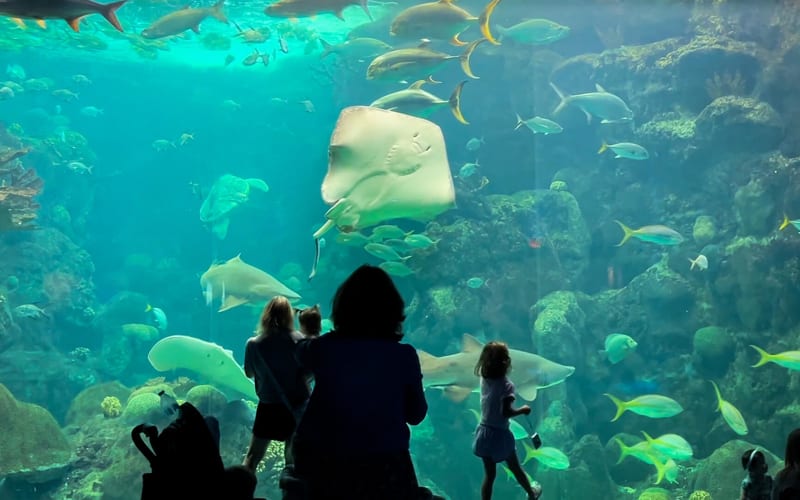 The Florida Aquarium, from its own website
