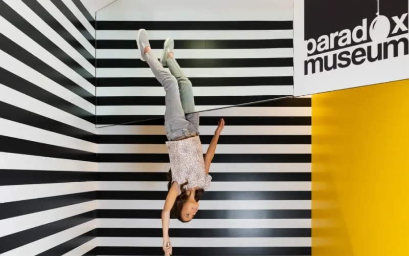 Paradox Museum Miami, from its own website