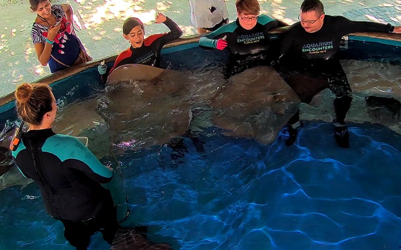 Florida Keys Aquarium Encounters, from its own website