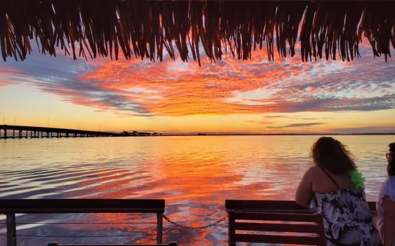 Totally Tiki Tours, from its own website