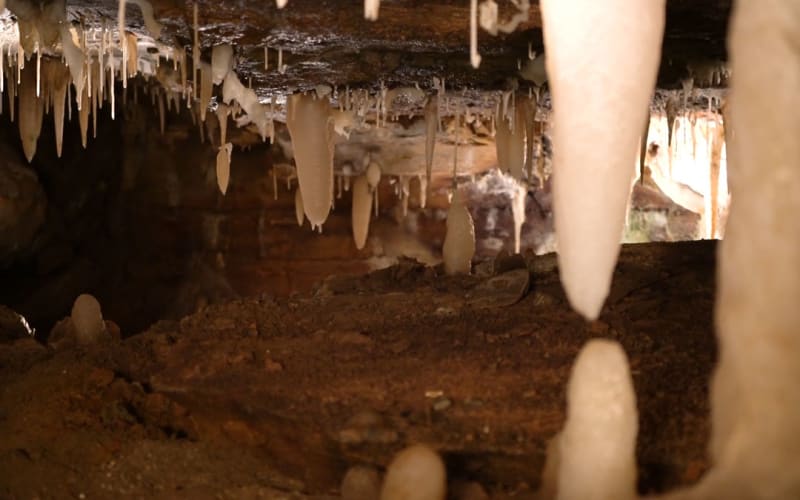 Ohio Caverns, from its own website