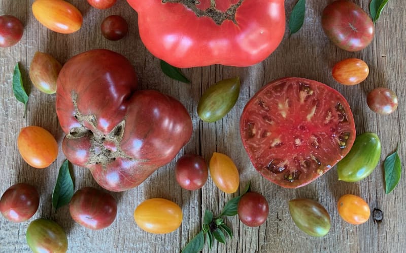 Peifer Orchards, from its own website