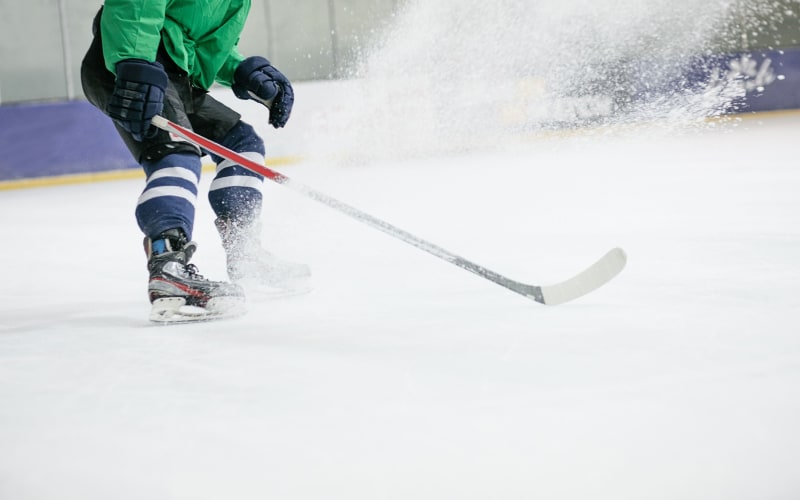 Alice Noble Ice Arena, from its own website