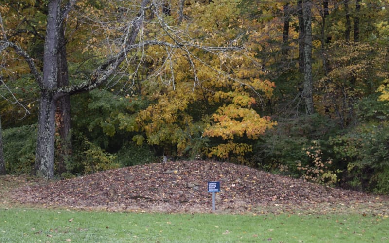 Fort Ancient Earthworks & Nature Preserve, a Unesco World Heritage Site, from its own website