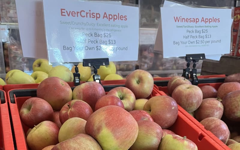 Branstool Orchards, from its own website