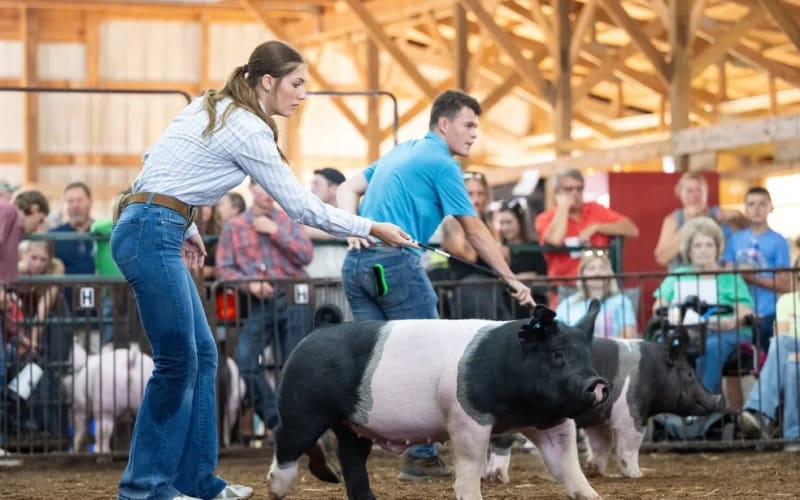 Huron County Fairgrounds, from its own website