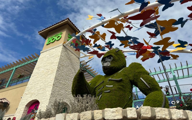 San Antonio Zoo, from its own website