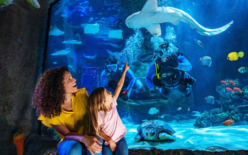 SEA Life Grapevine Aquarium, from its own website