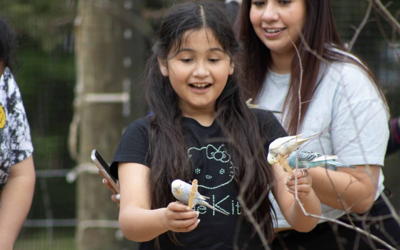 Texas Zoofari Park, from its own website