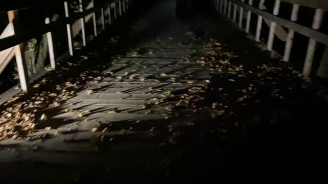 The Parker House Haunted Attraction, from its own website
