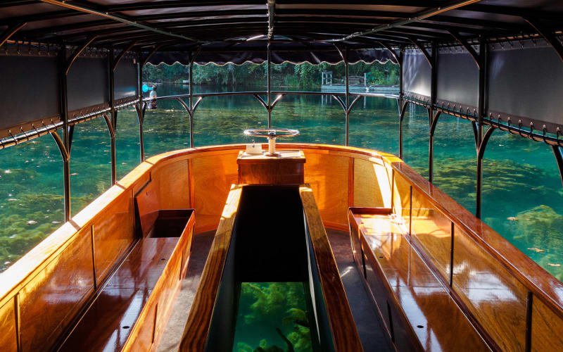 Meadows Center Glass-Bottom Boat Tours, from its own website