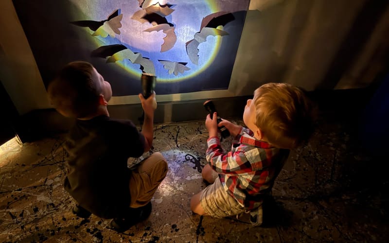The Woodlands Children's Museum, from its own website