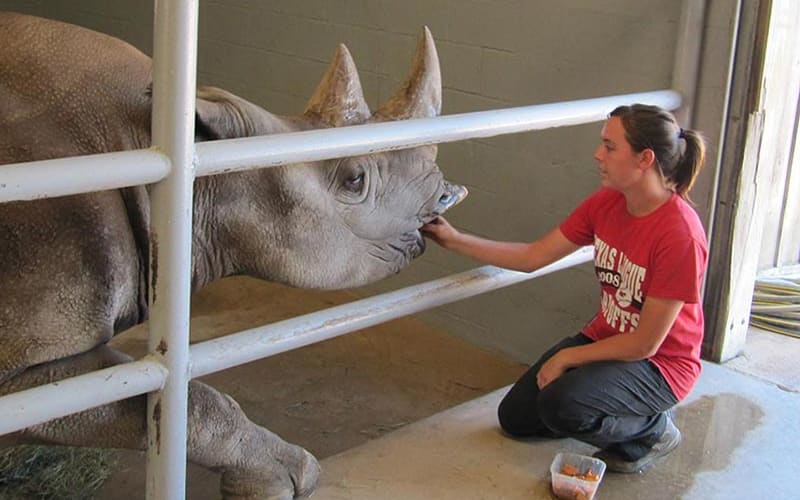Fossil Rim Wildlife Center, from its own website