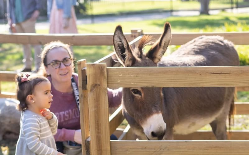 Country Critters Farm, from its own website