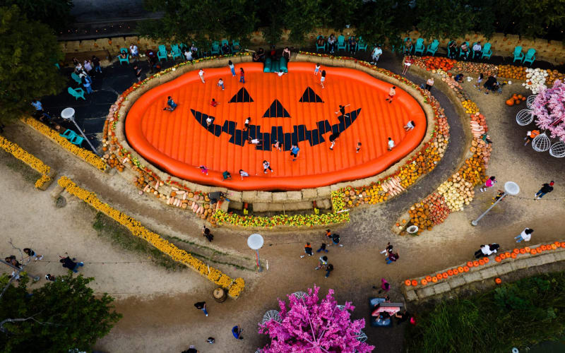 Houston Pumpkin Fest, from its own website