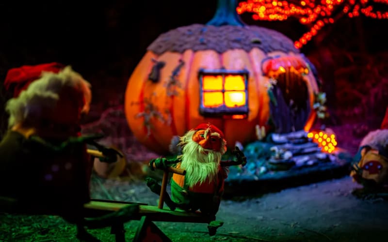 Pumpkin Nights - Dallas, from its own website