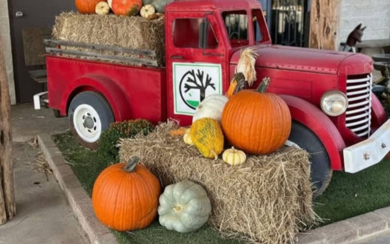 Keller Pumpkin Patch & Christmas Tree Farm, from its own website