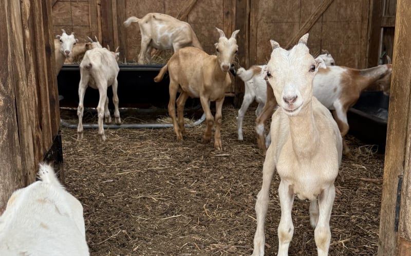 Bonton Farms, from its own website