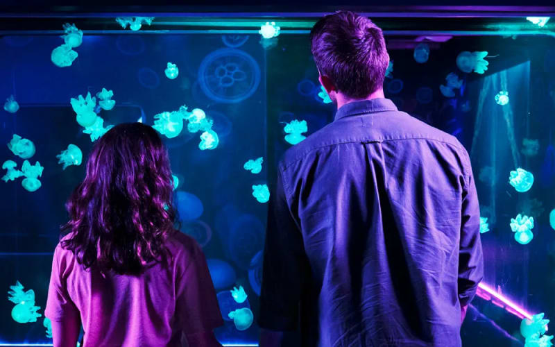 SEA Life San Antonio, from its own website