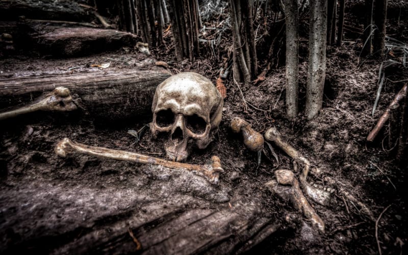 Hell Country Productions, from its own website