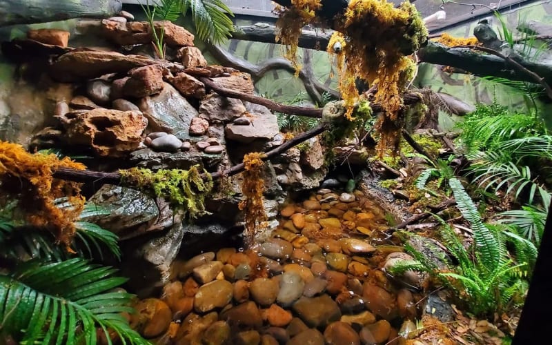 Reptilandia Zoo, from its own website